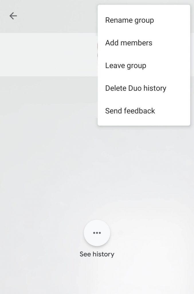 Google Duo Group Call